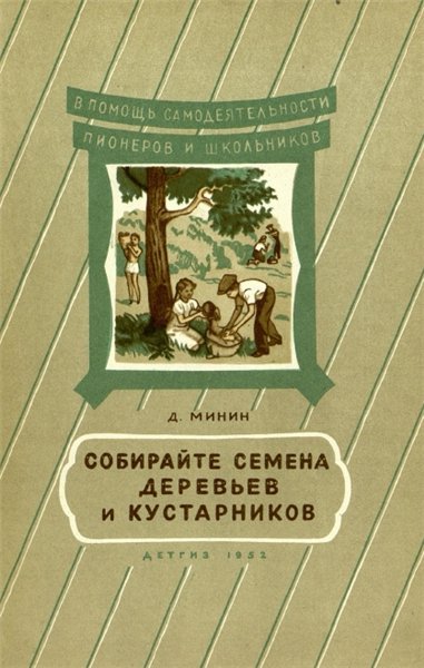 Д. Минин. Собирайте семена деревьев и кустарников