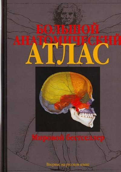 Большой анатомический атлас (2015) PDF