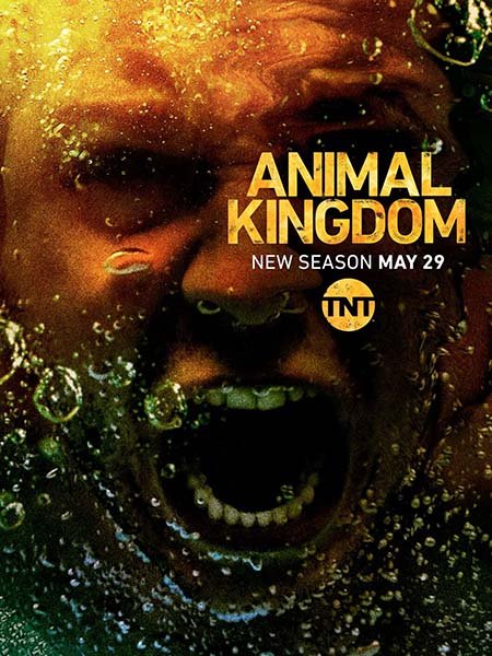 По волчьим законам (3 сезон) / Animal Kingdom