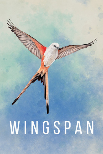 Wingspan