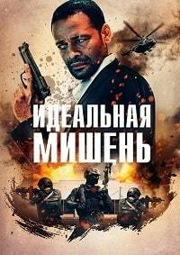 Идеальная мишень