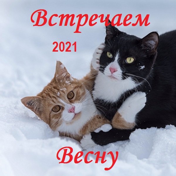 Встречаем Весну