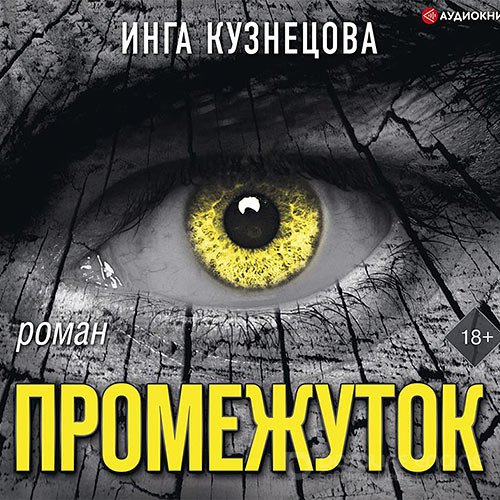 Кузнецова Инга. Промежуток (Аудиокнига)