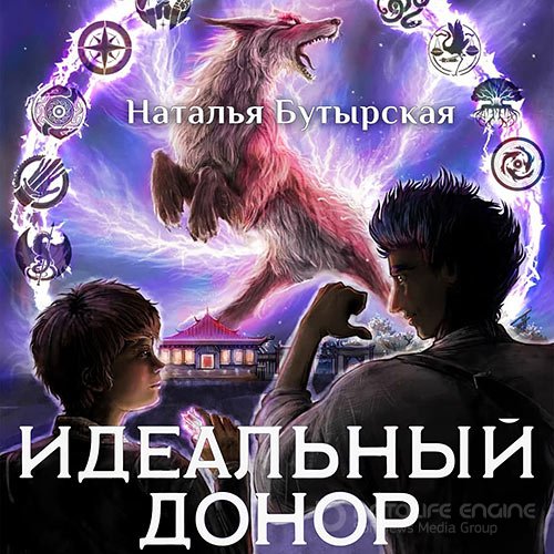 Бутырская Наталья. Идеальный донор. Академия 2 (Аудиокнига)