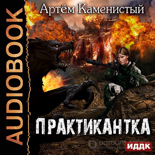 Каменистый Артем. Практикантка (Аудиокнига)